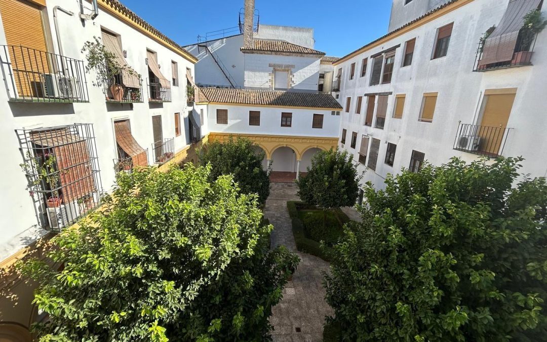 Amplio piso de 3 Dormitorios con garaje …